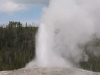 Yellowstone National Park 068
